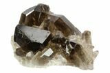 Dark Smoky Quartz Crystal Cluster - Brazil #124562-1